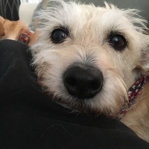 Meet your Posher, Shari